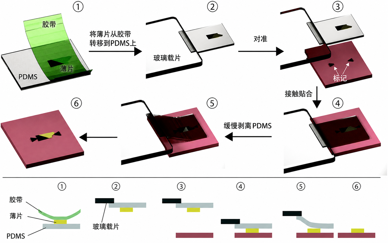 YB-MT30-M 二维材料转移过程图