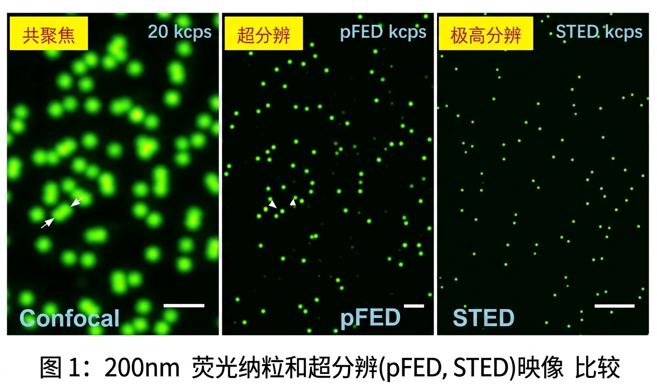 荧光纳粒成像